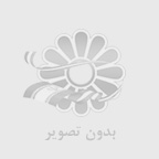 نکات خرید بادام هندی ارزان